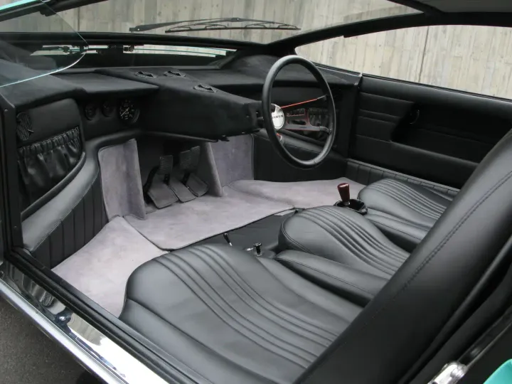 interni bizzarrini manta