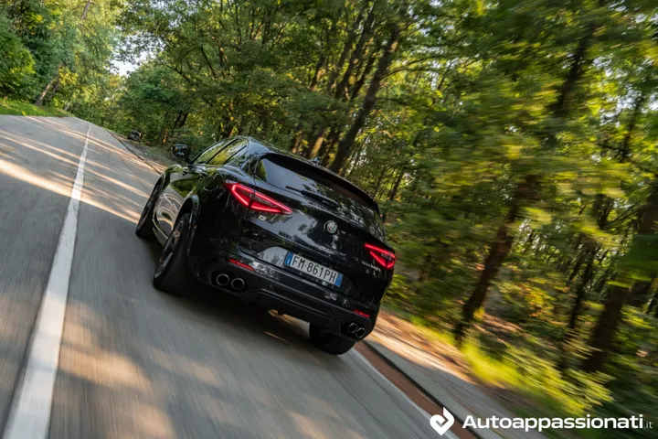 stelvio quadrifoglio 08