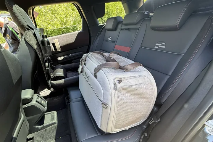 Mini cani in auto