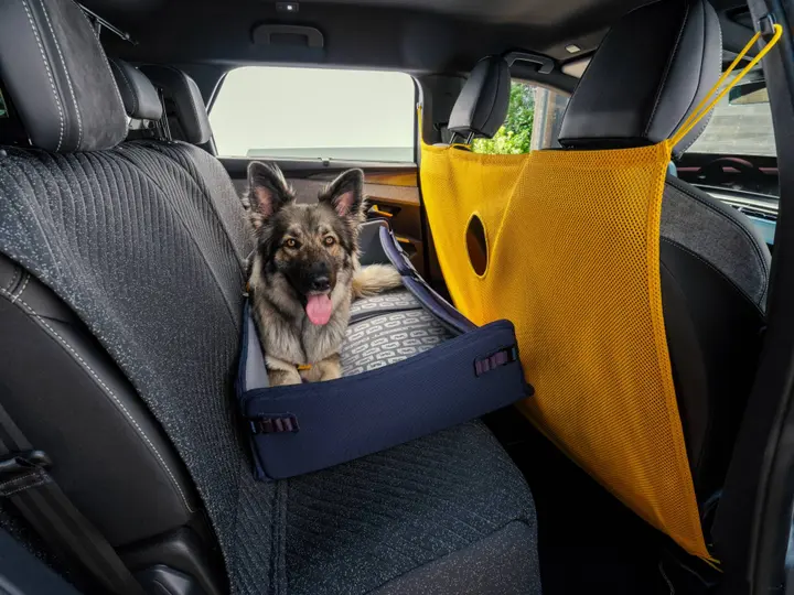 concept-e-5008-dog-edition (2)