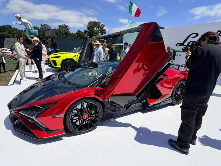 Revuelto SV Quail 2026
