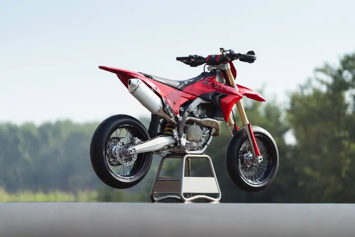 DESMO450SM posteriore