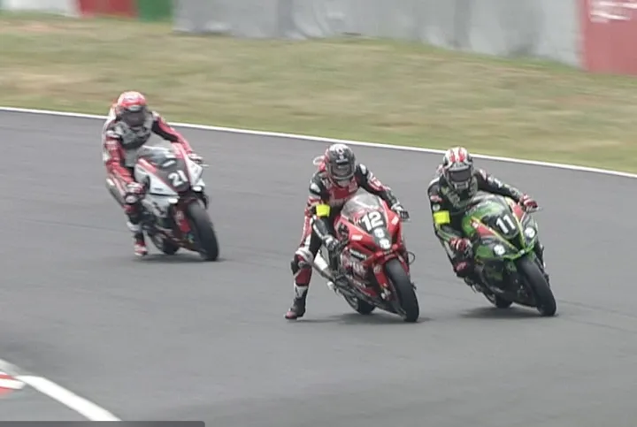 Lorenzo Petrarca wild card
