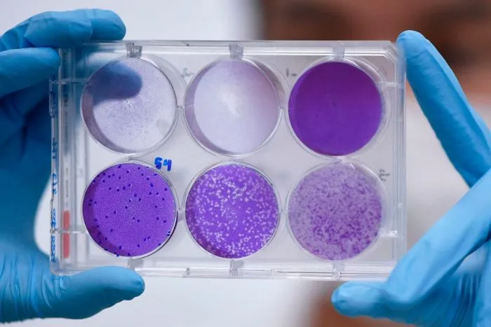 Coronavirus