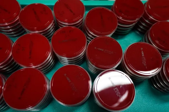 Coronavirus in Italia