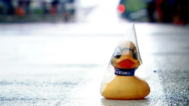motogp silverstone duck e1585838287401