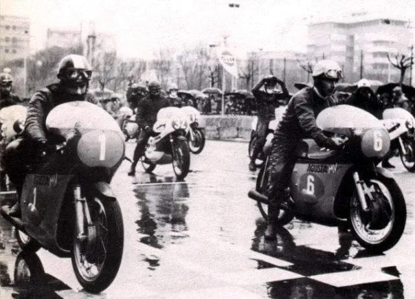 riccio11
