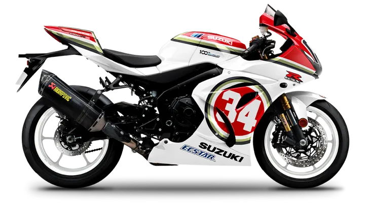 schwantz 1993 e1608910268661