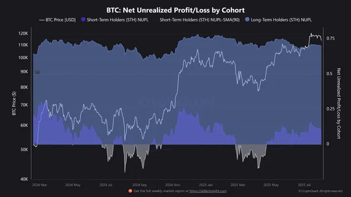 Bitcoin NUPL - Bron: CryptoQuant