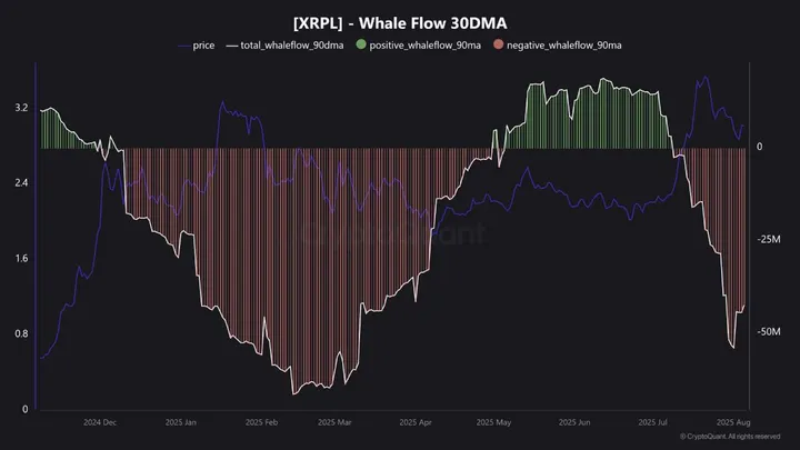 XRP Whale flows