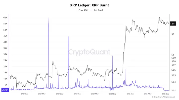 XRP Ledger burnrate - Bron: CryptoQuant