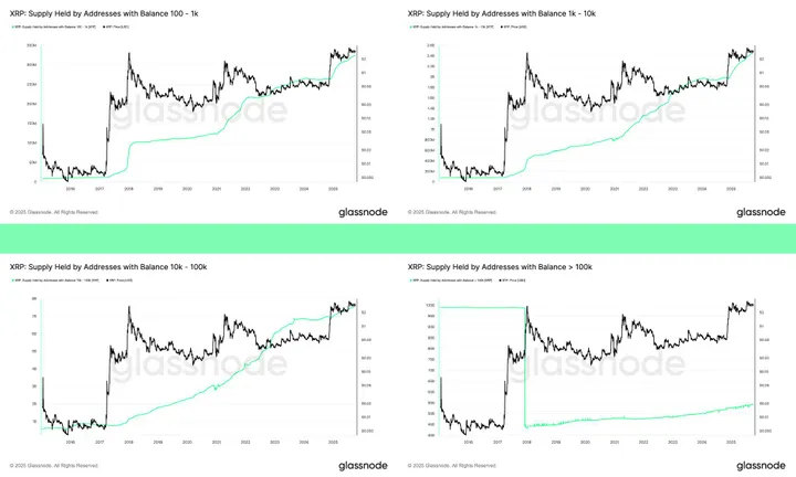 XRP-adressen met een tokenbalans van 10.000 tot 100.000 of meer - Bron: Glassnode