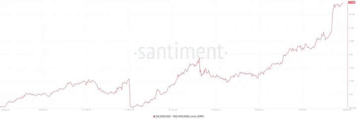 XRP whale accumulatie