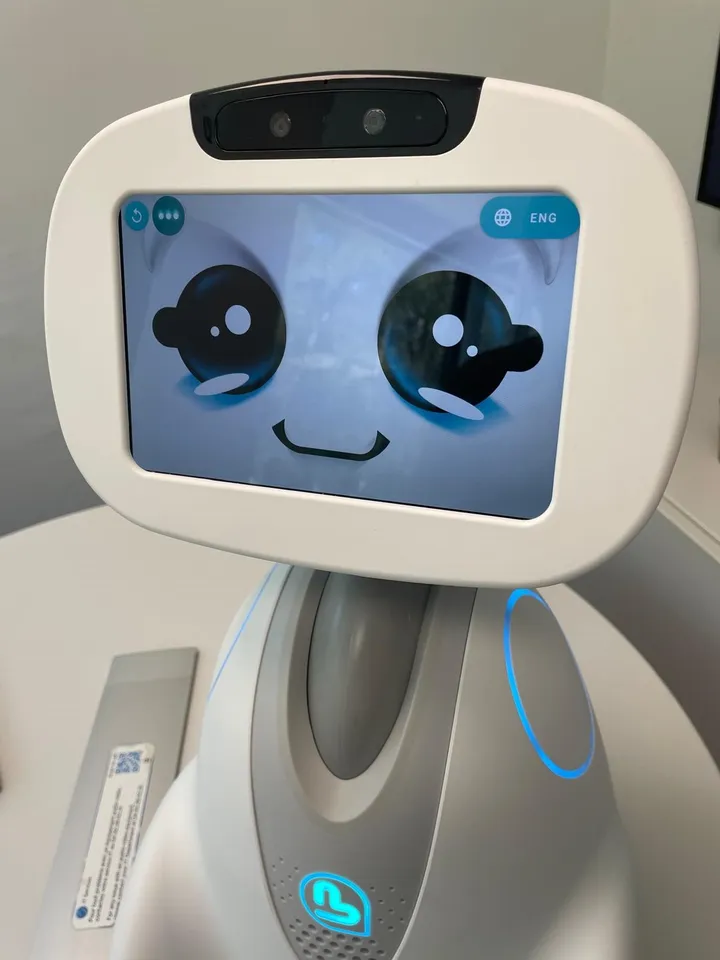 joule sap ai