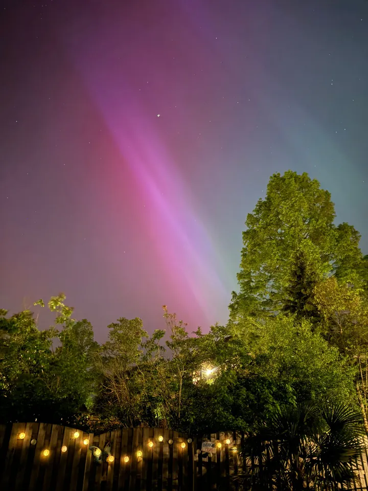 noorderlicht 2