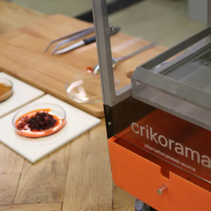 crikorama dyson 2