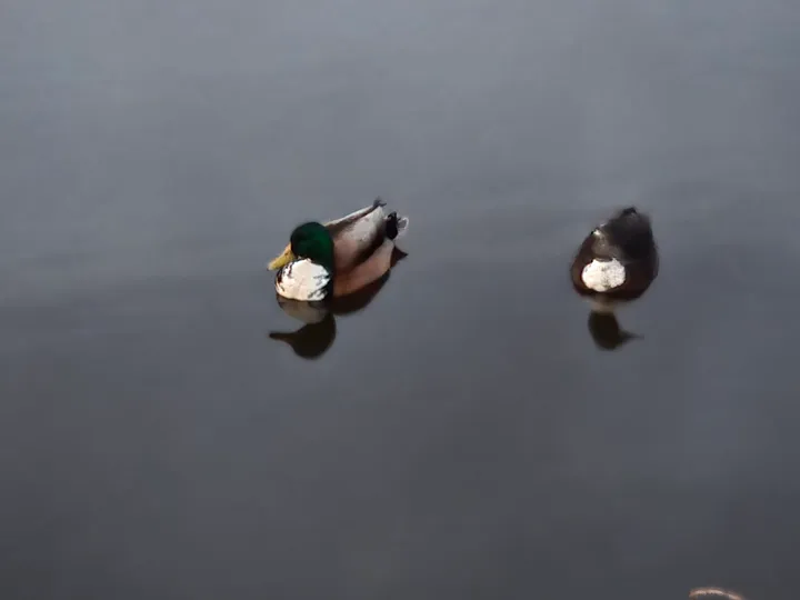 20250208 181028