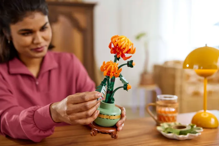 chrysant