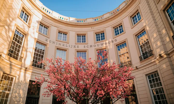 hnt livetext credits jassir jonis 09