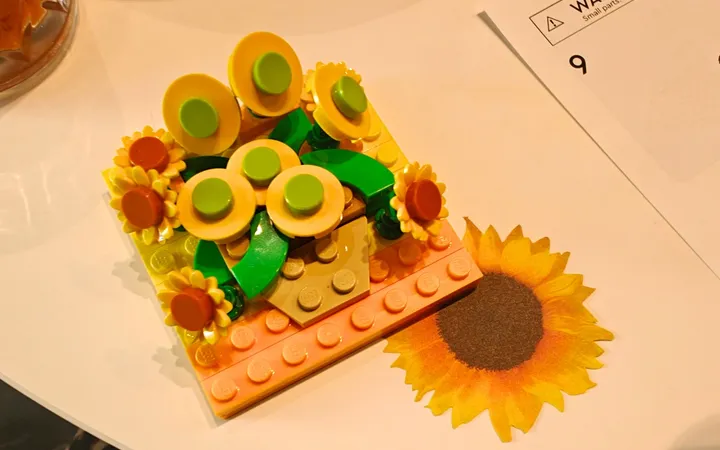 lego zon