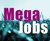 1115700991mega-01.jpg