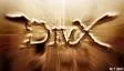 1118873149divx.jpg