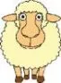 1121840561schaap.jpg
