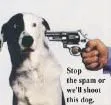 1125250574spam-2.jpg