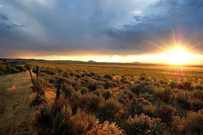 1162055028sunset.jpg