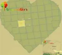 1172139553treenation.jpg