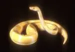1175764585python.jpg