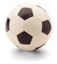 1183474859voetbal.jpg