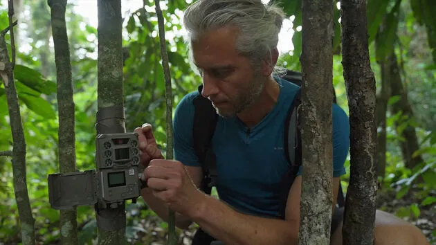 ai enabled camera trap