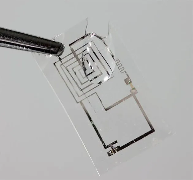 bio battery