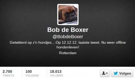 bob-de-boxer.jpg