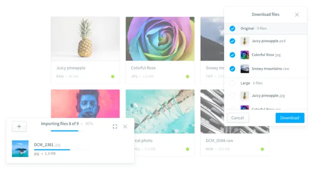 De layout van de web-app is clean en overzichtelijk, precies zoals het hoort.