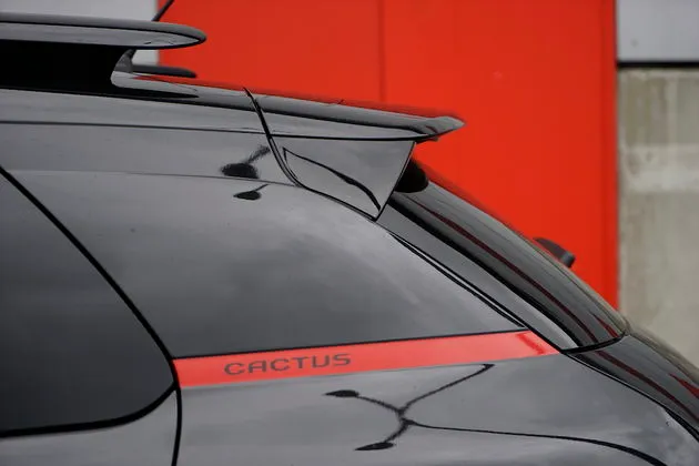 Citroen_cactus_8