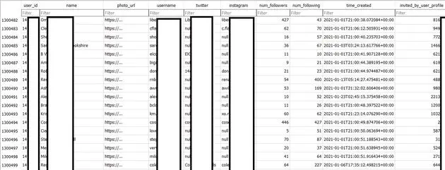 Een voorbeeld van de gebruikersdata zoals die op het hackersforum gepubliceerd zijn
