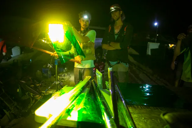 Darklight BTS - 4