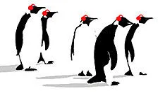 de-eerste-uren-van-pinguinradio-nl.jpg