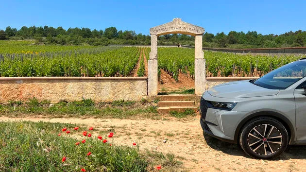 Maar ook langs wijngaarden van de exclusieve Grand Cru`s zoals deze Puligny-Montrachet