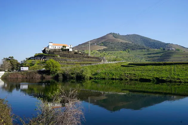 Prachtige natuur in het vroege voorjaar langs de Douro rivier in Portugal