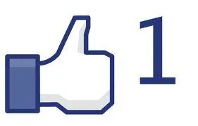facebook-community-van-het-jaar-award.jpg