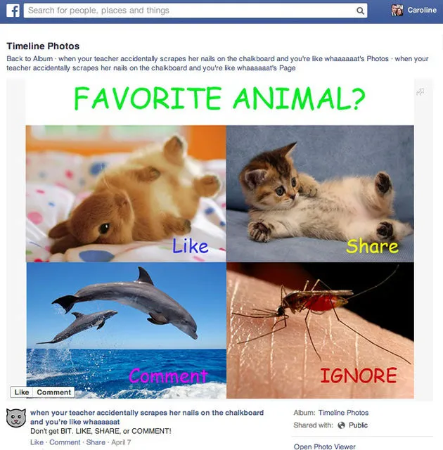 facebook-pakt-news-feed-spam-aan-met-upd.jpg