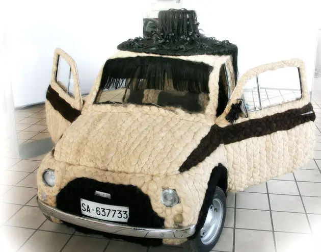 fiat haar
