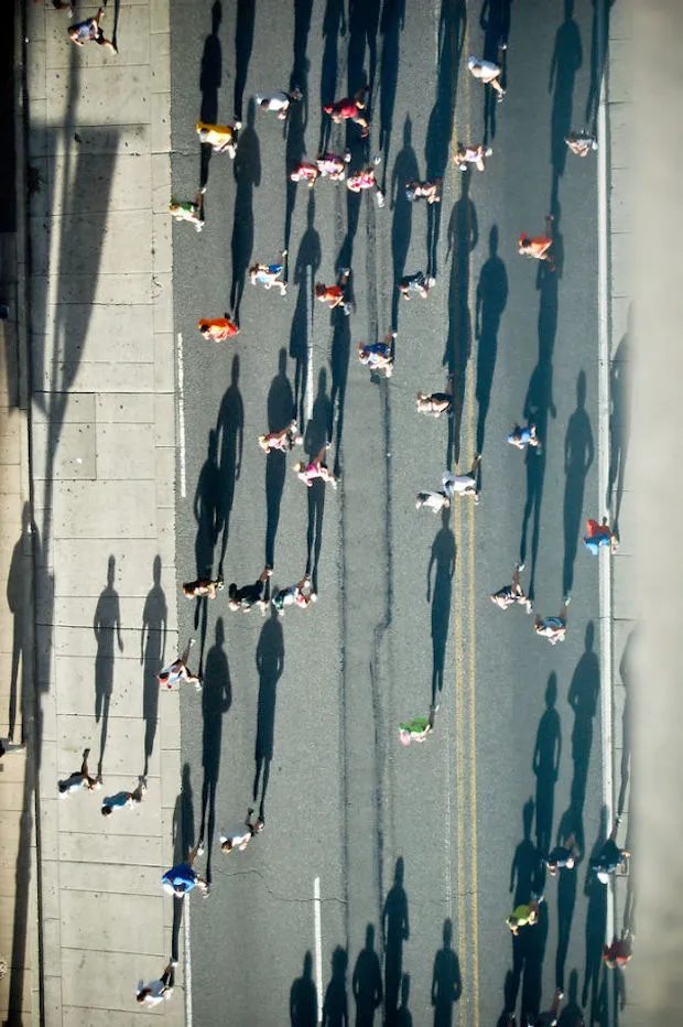 <em>Bron: <\/em><a href=\