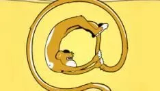 genomineerden-gouden-apenstaart-2011.jpg