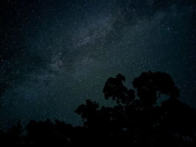 <em>Night Sight<\/em><em><\/em>