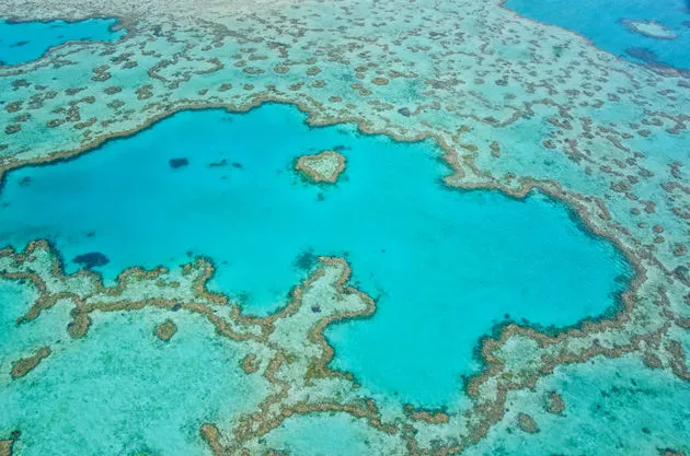 Het Great Barrier Reef van bovenafFoto: Anh Ngo - Fotolia