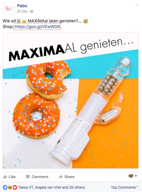 inhaker-koningsdag-pabo
